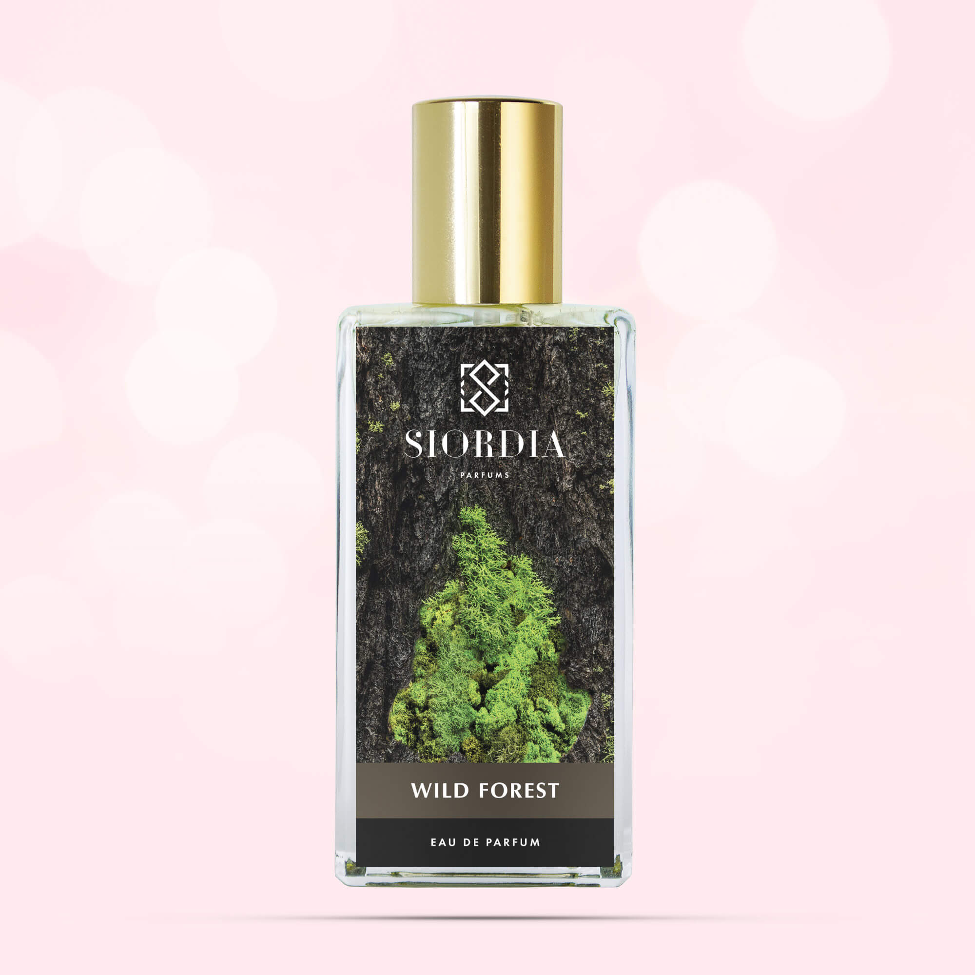 Флакон парфюма Дикий лес от Siordia Parfums, хвойный лесной аромат с сосной, кедром и дубовым мхом